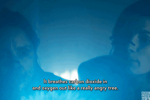 Really Angry Tree GIFs - Get the best GIF on GIPHY