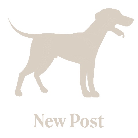 Manuel Platzer Sticker