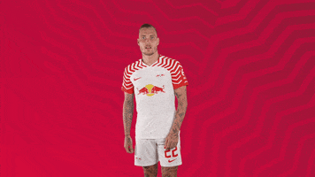 Come On Smile GIF by RB Leipzig
