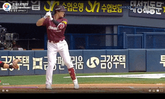 Baseball GIF