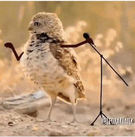 Birds With Arms GIFs - Get the best GIF on GIPHY