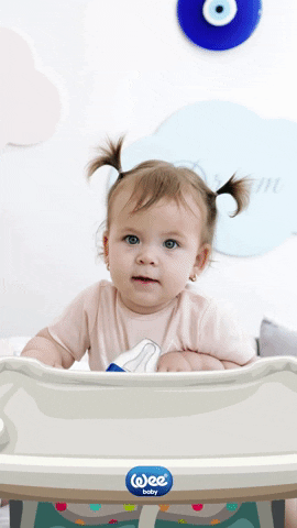 Burda Bebek GIF
