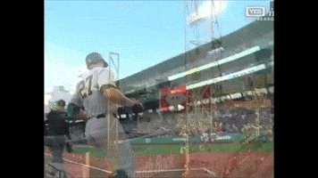 Yankees GIF