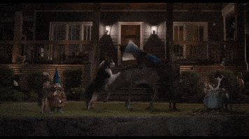 Cinema Hump Day GIF by Cineworld Cinemas
