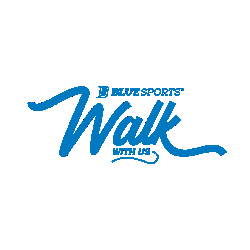 Hockey Sticker by Blue Sports