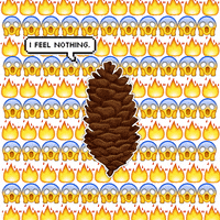 200.gif?cid=fc005b08bdb4f99dbd2ce9b8f48ba317239b36391c8b9fb6&rid=200.gif&ct=g