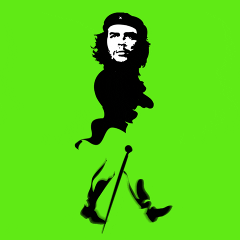 Guevara meme gif
