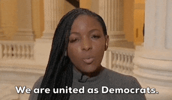 Texas Democrats GIF by GIPHY News