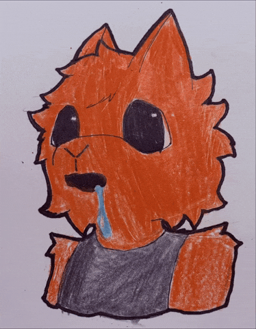 Cat Sky GIF