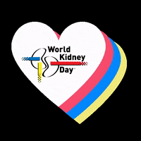 Kidneys GIF by World Kidney Day