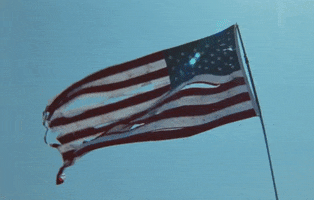 American Flag GIF by Grayscale