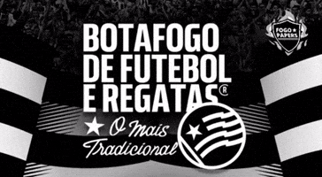 Botafogo De Futebol E Regatas Bfr GIF
