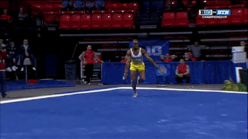 michigan men's gymnastics GIF by Michigan Athletics
