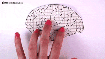 200.gif?cid=fc005b0846dc18b2cdb5bb5cf126364d2ad782c3003503d3&rid=200.gif&ct=g