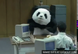 Angry Panda GIF by Steve Konklin