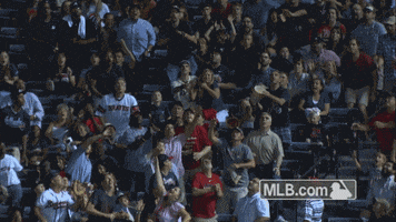 atl GIF by MLB