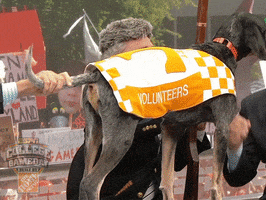 espn tennessee GIF by College GameDay