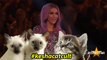 kesha cat cult GIF by Rising Star