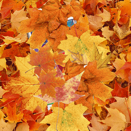 Fall Smartphone GIF by Boost Mobile Find & Share on GIPHY