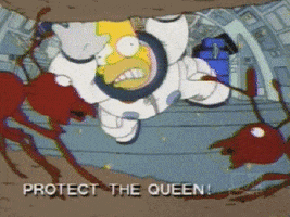 tne1870 space simpsons freedom homer GIF