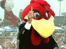 Espn Gamecocks GIF by College GameDay