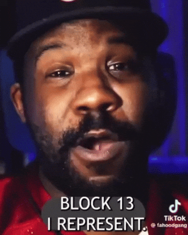 Block 13 GIF