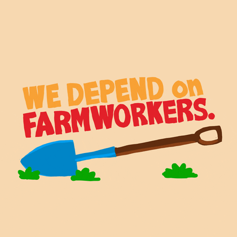 Illustrated gif. Shovel stuck in grass patch. Shifting text reads, "We depend on farmworkers," against a peachy beige background.