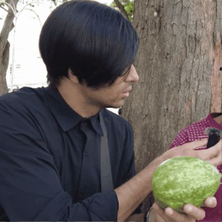 Frutas GIF