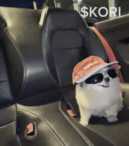 Party Dog GIF