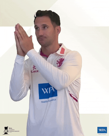 Clap Applaud GIF by Somerset County Cricket Club