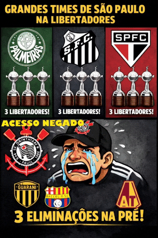 Copa Do Brasil Santos GIF