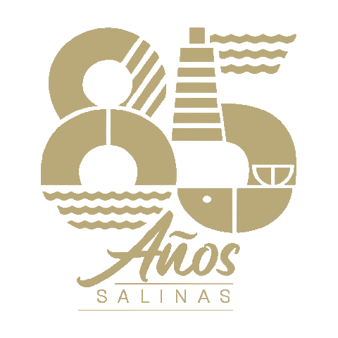 Salinasec Sticker by Alcaldía Salinas