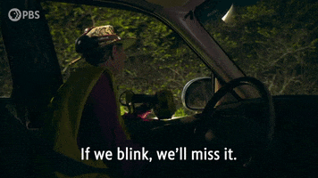 Episode 1 Dont Blink GIF by PBS