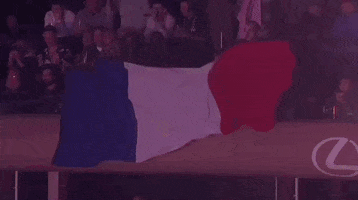 France Sport GIF by UFC