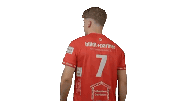 Sport Handball Sticker by HSC Radolfzell
