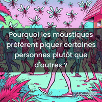 expliquepourquoi-prfrence-des-moustiques-piqres-de-sens-du-co2-TtcYvKhh2WpXLneiML