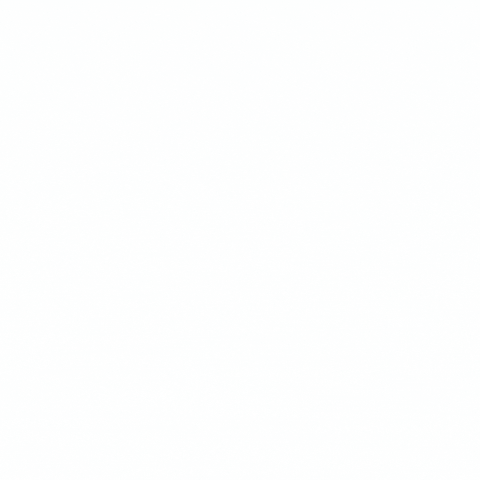 dieciseisnovenos GIF