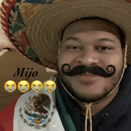 Mijo GIF