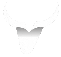 Touro Brasil Sticker