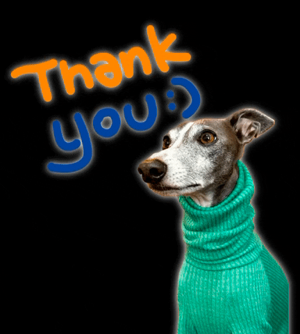 UncleBenCoffeeHK thank you thanks greyhound whippet GIF