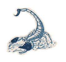 Zodiac Sticker
