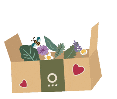 GIF by Orballo