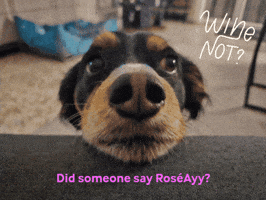 GIF by ChangeForChange