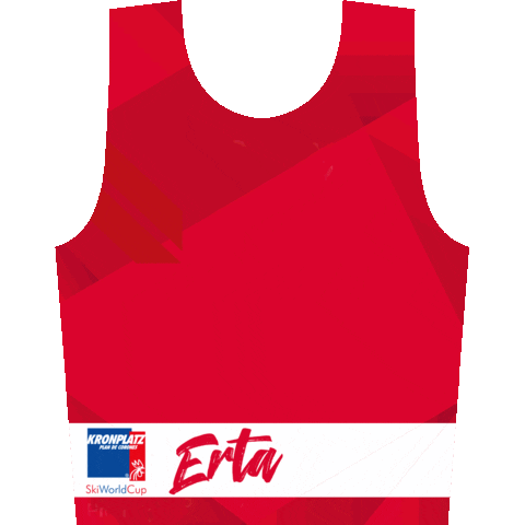 Plandecorones Sticker by SkiWorldCup Kronplatz