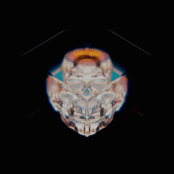 Skull Prism GIF by Baramatis Creative