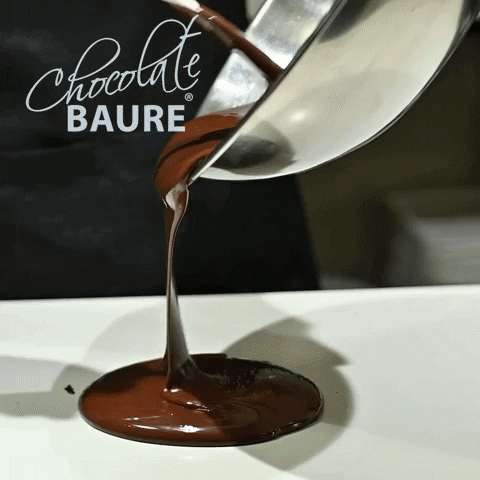 ChocolateBaure templado baure chocolatebaure chocolate baure GIF