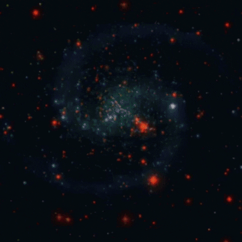 ipanemacom GIF
