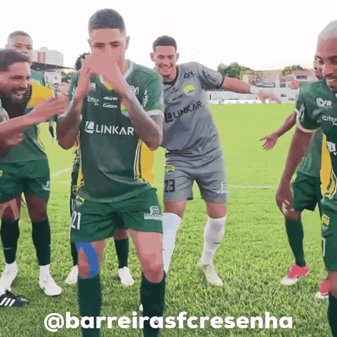 Bfc GIF