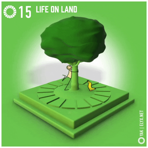 United Nations Ecology GIF by ELYX