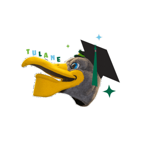 Tulane Commencement Sticker by Tulane University